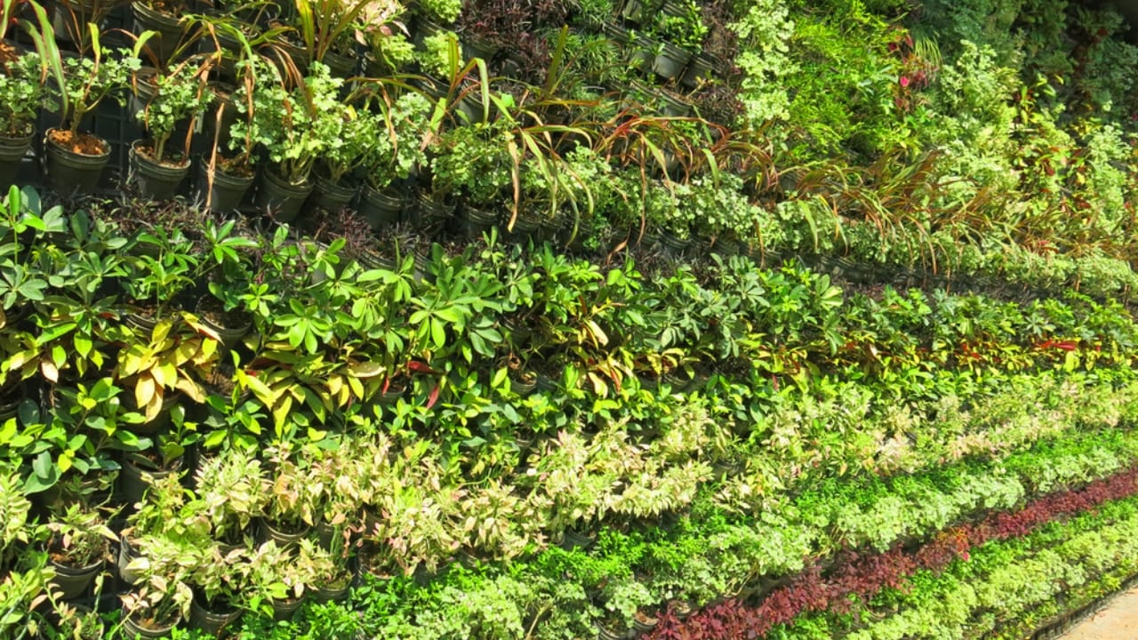 $140K on 1.5 Acres: 10 Strategies for Small Farm Success 6 $140K on 1.5 Acres: 10 Strategies for Small Farm Success - vertical garden dp400014946