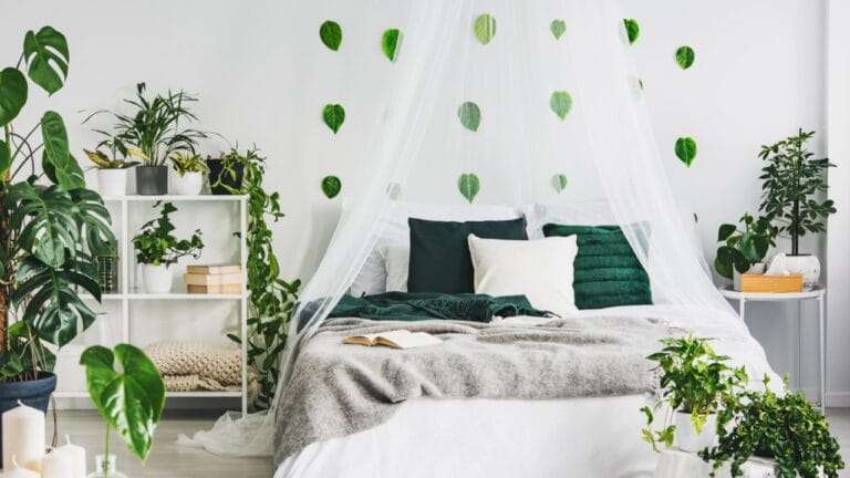 Breathe Easy: 30 Air-Purifying Bedroom Plants for Deeper, More Restful Sleep 5 Breathe Easy: 30 Air-Purifying Bedroom Plants for Deeper, More Restful Sleep - white bedroom with plants dp273595378