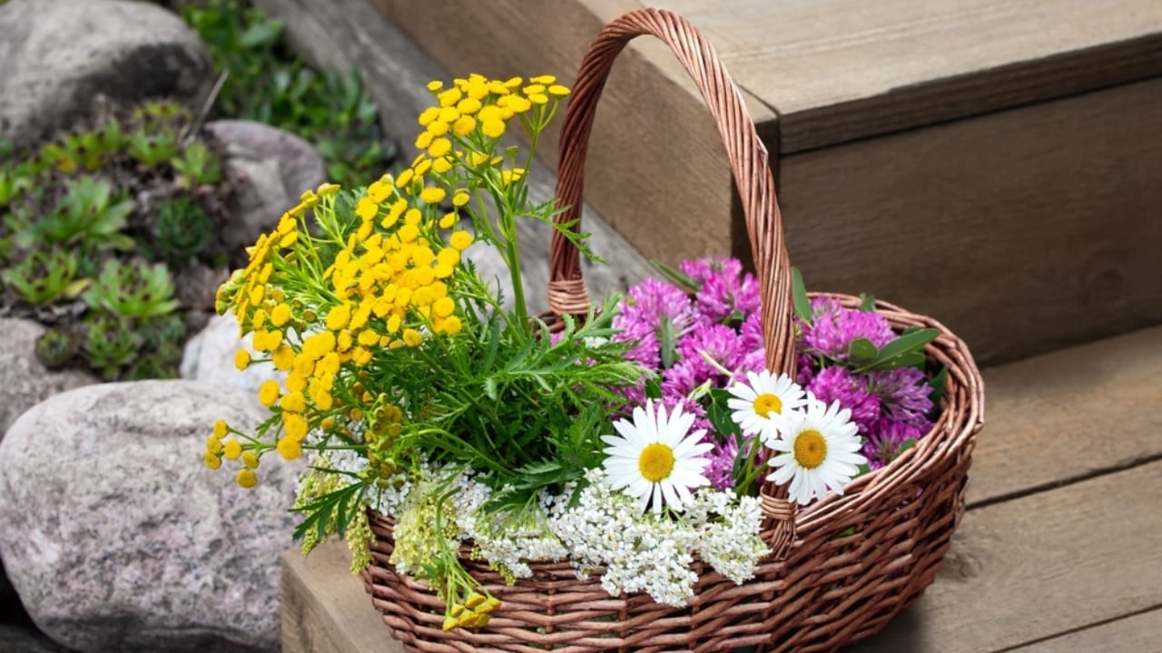 Turn Old Wicker Baskets into Beautiful Bouquets for Your Home 6 Turn Old Wicker Baskets into Beautiful Bouquets for Your Home - wicker basket display ss2295189769