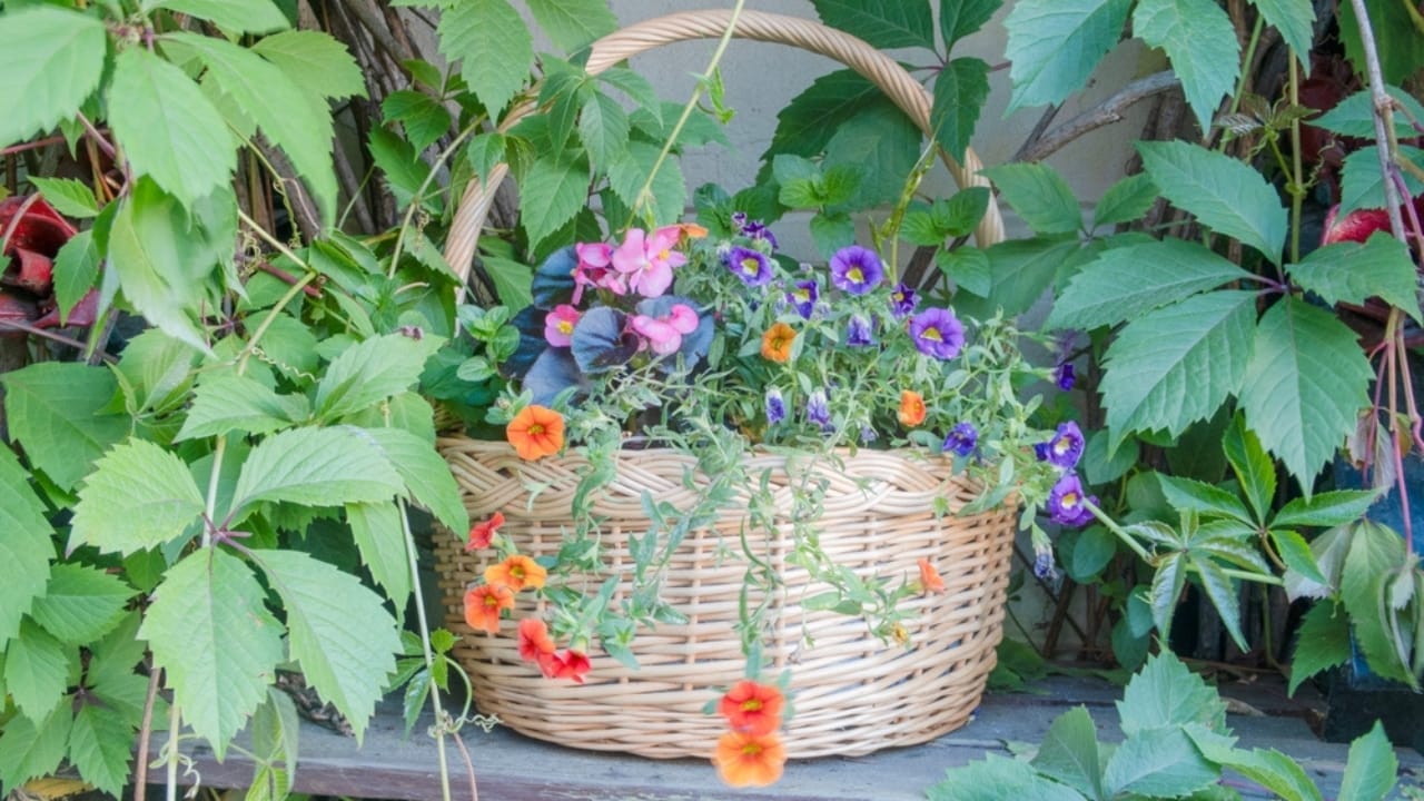 Turn Old Wicker Baskets into Beautiful Bouquets for Your Home 3 Turn Old Wicker Baskets into Beautiful Bouquets for Your Home - wicker basket flower ss2517342737