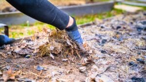 10 Organic Weed Control Methods for a Thriving Perennial Garden 1 10 Organic Weed Control Methods for a Thriving Perennial Garden - woman mulch garden ss2284879323 degm