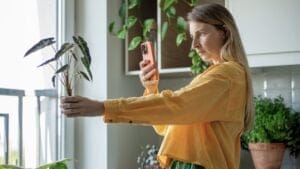 How to Profit From the $16.5B Houseplant Boom Right Now 1 How to Profit From the $16.5B Houseplant Boom Right Now - woman selling houseplants ss2440417313 degm