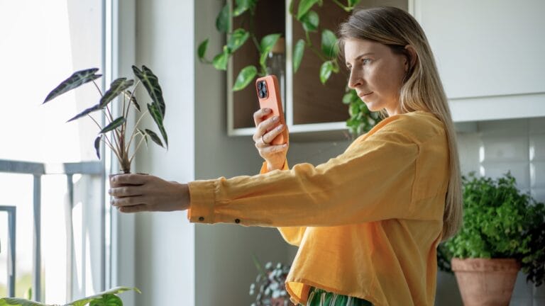 How to Profit From the $16.5B Houseplant Boom Right Now 7 How to Profit From the $16.5B Houseplant Boom Right Now - woman selling houseplants ss2440417313 degm