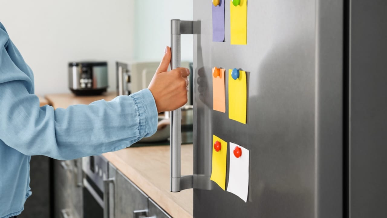 14 Energy-Hungry Devices Hiking Your Electric Bill 5 14 Energy-Hungry Devices Hiking Your Electric Bill - woman and refrigerator dp320678544