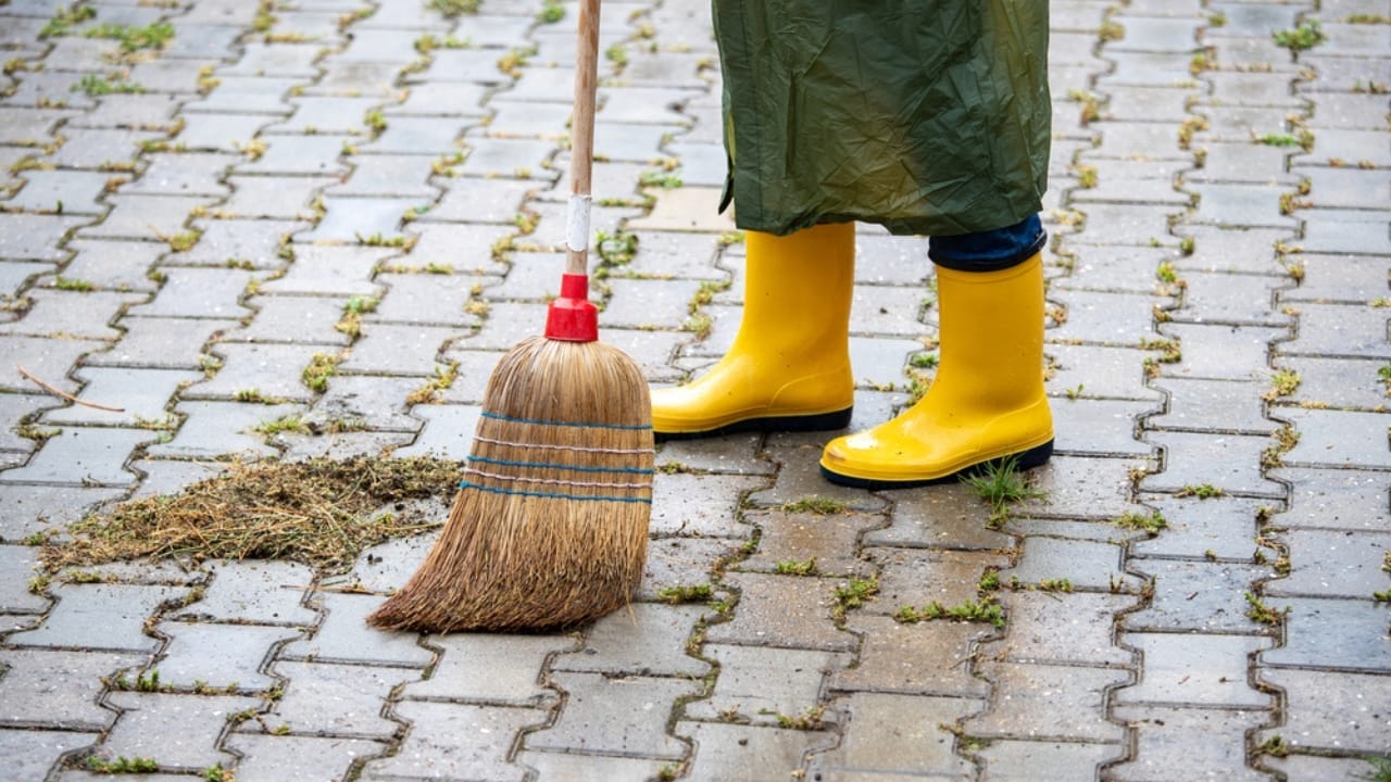 Say Goodbye to Driveway Weeds with These 15 Methods 16 Say Goodbye to Driveway Weeds with These 15 Methods - woman cleaning weed sweeping dp482191786