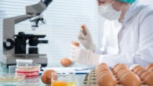 Lab-Grown Chicken Lands on Shelves: Your Guide to Spotting Cultivated Meat 1 Lab-Grown Chicken Lands on Shelves: Your Guide to Spotting Cultivated Meat - woman in laboratory ss250375210