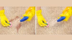 Get Fresh, Clean Carpets with This Simple DIY Carpet Cleaner Recipe 1 Get Fresh, Clean Carpets with This Simple DIY Carpet Cleaner Recipe - woman removing stain dp251360120
