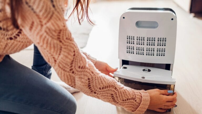 8 Spots to Avoid for Dehumidifiers (and Where to Place Them Instead) 8 8 Spots to Avoid for Dehumidifiers (and Where to Place Them Instead) - woman with dehumidifier dp230210424