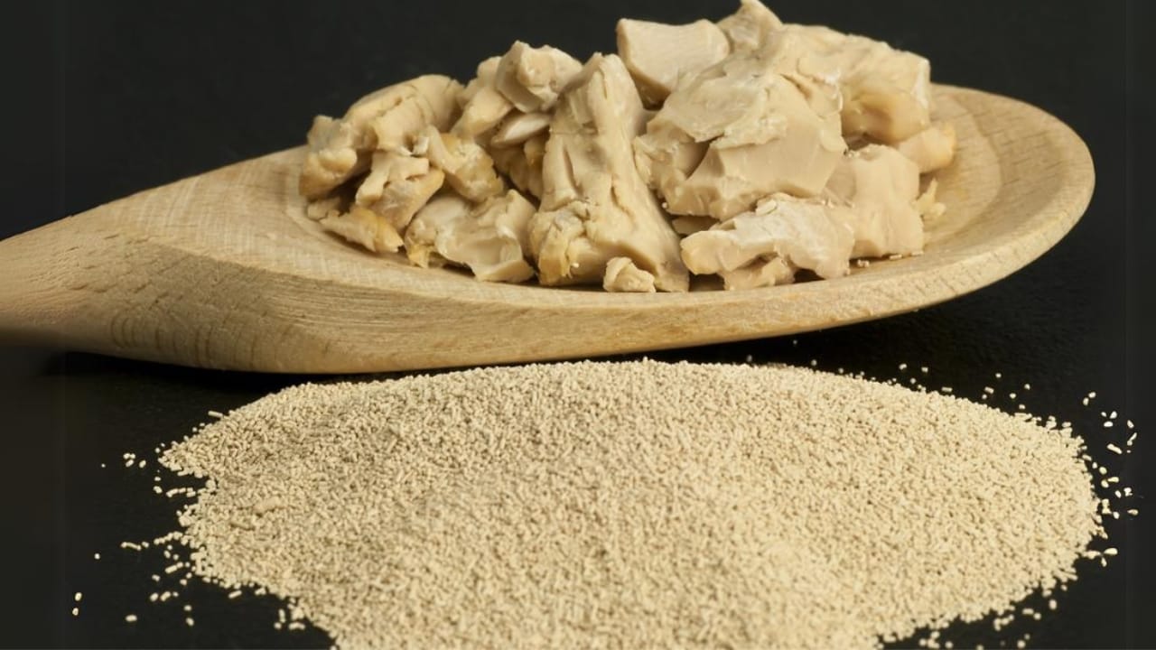 20 Items to Stock Up On for Food Security & Savings 14 20 Items to Stock Up On for Food Security & Savings - yeast powder and fresh yeast dp17654571