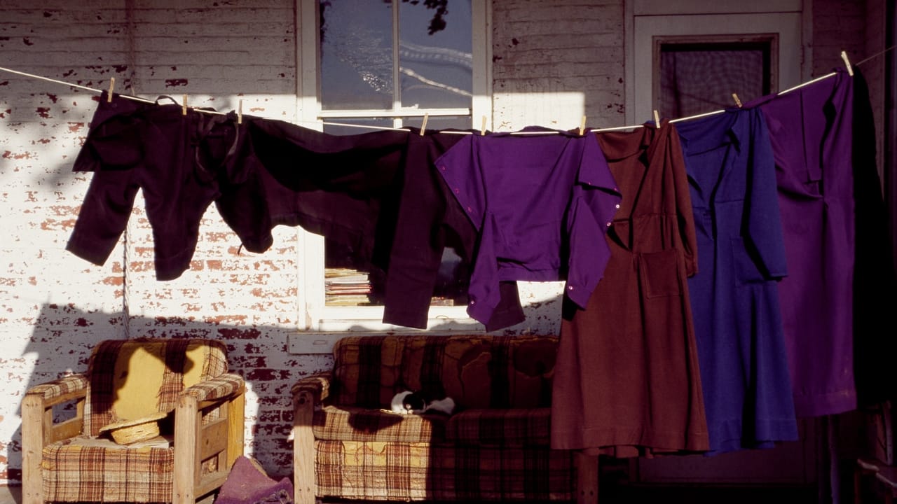 13 Amish Money-Saving Habits to Cut Your Household Costs 13 13 Amish Money-Saving Habits to Cut Your Household Costs - Amish life in Lancaster wc