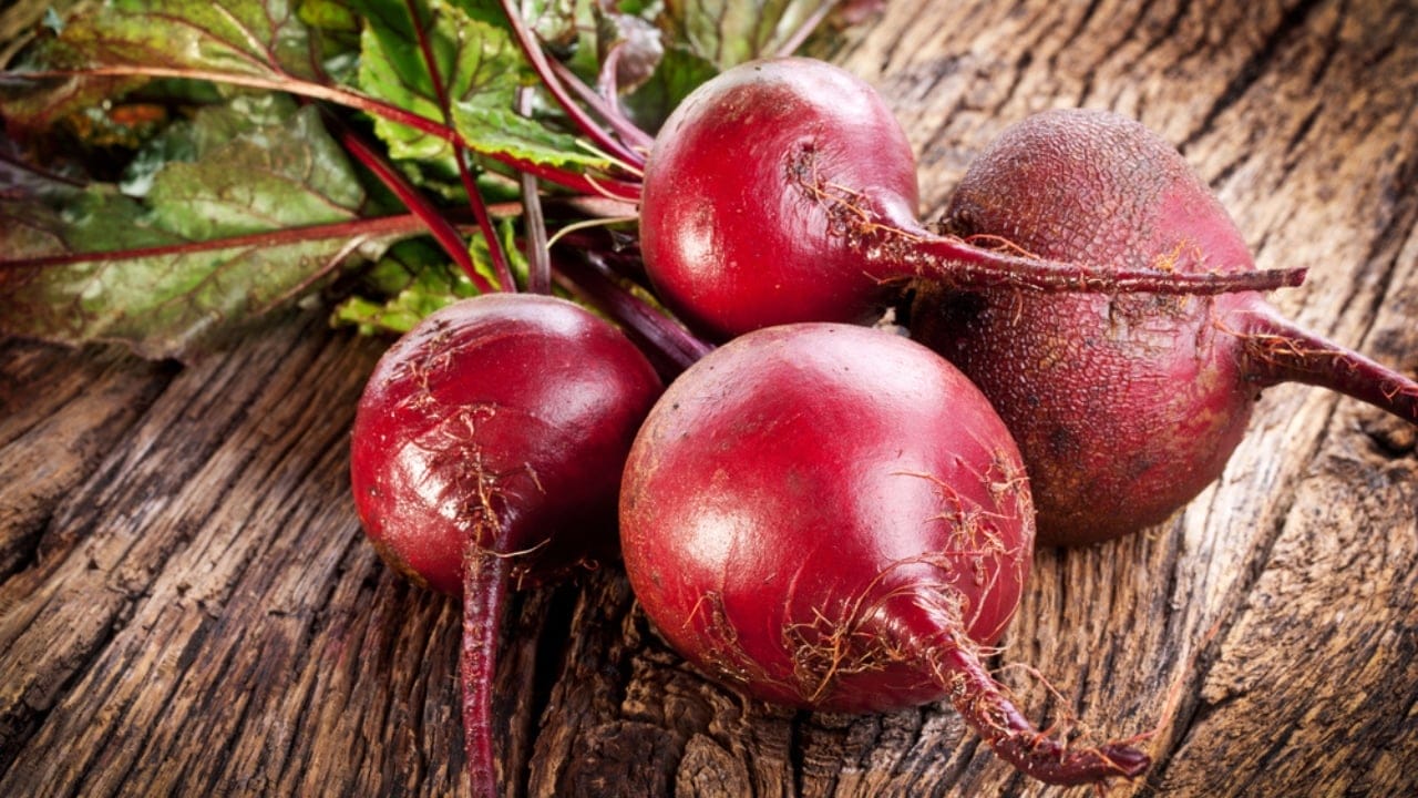 20 Best Vegetables for High-Yield Container Gardening 16 20 Best Vegetables for High-Yield Container Gardening - Beet roots dp26159257 dnoh