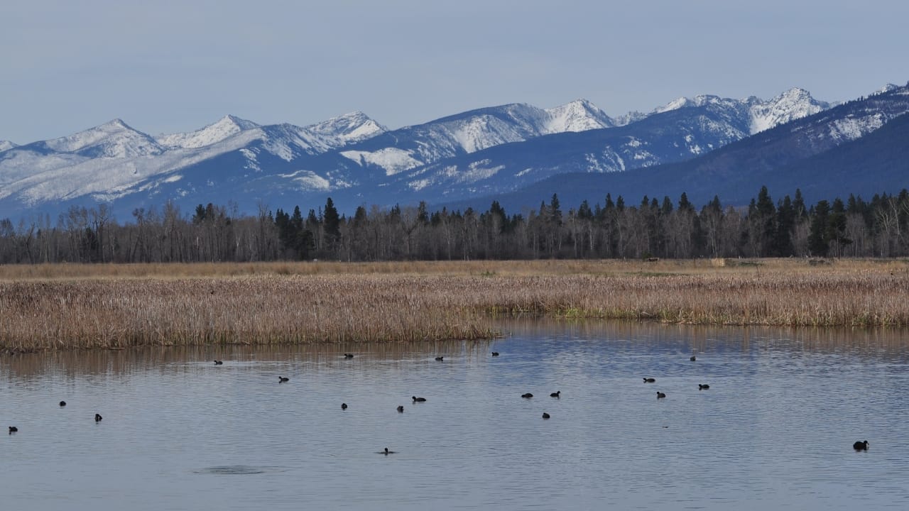 Where to Go When It All Falls Apart: 10 U.S. Safe Zones 3 Where to Go When It All Falls Apart: 10 U.S. Safe Zones - Bitterroot mountains valley wc