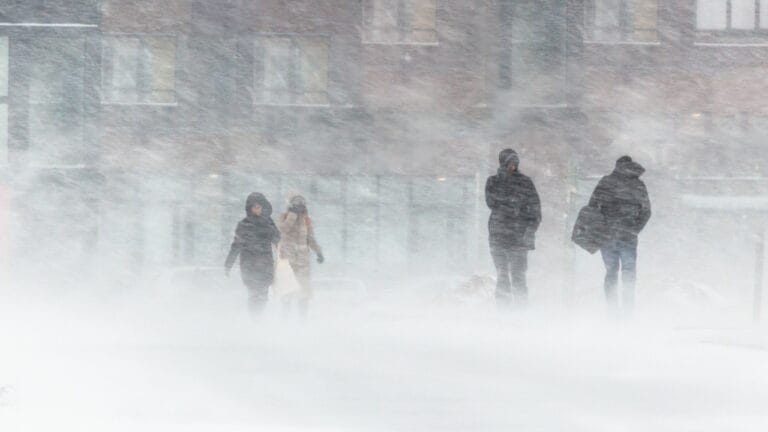 14 Signs in Nature That Predict a Harsh Winter Ahead - Blizzard strong wind snow cold ss1419914921 adyh