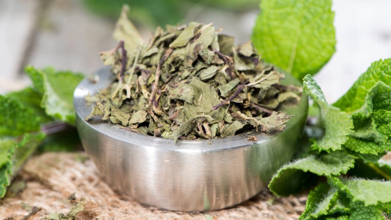 11 Herbs to Dry Now for Freshness That Lasts All Year 6 11 Herbs to Dry Now for Freshness That Lasts All Year - Bowl with dried Mint dp42845197 dnoh