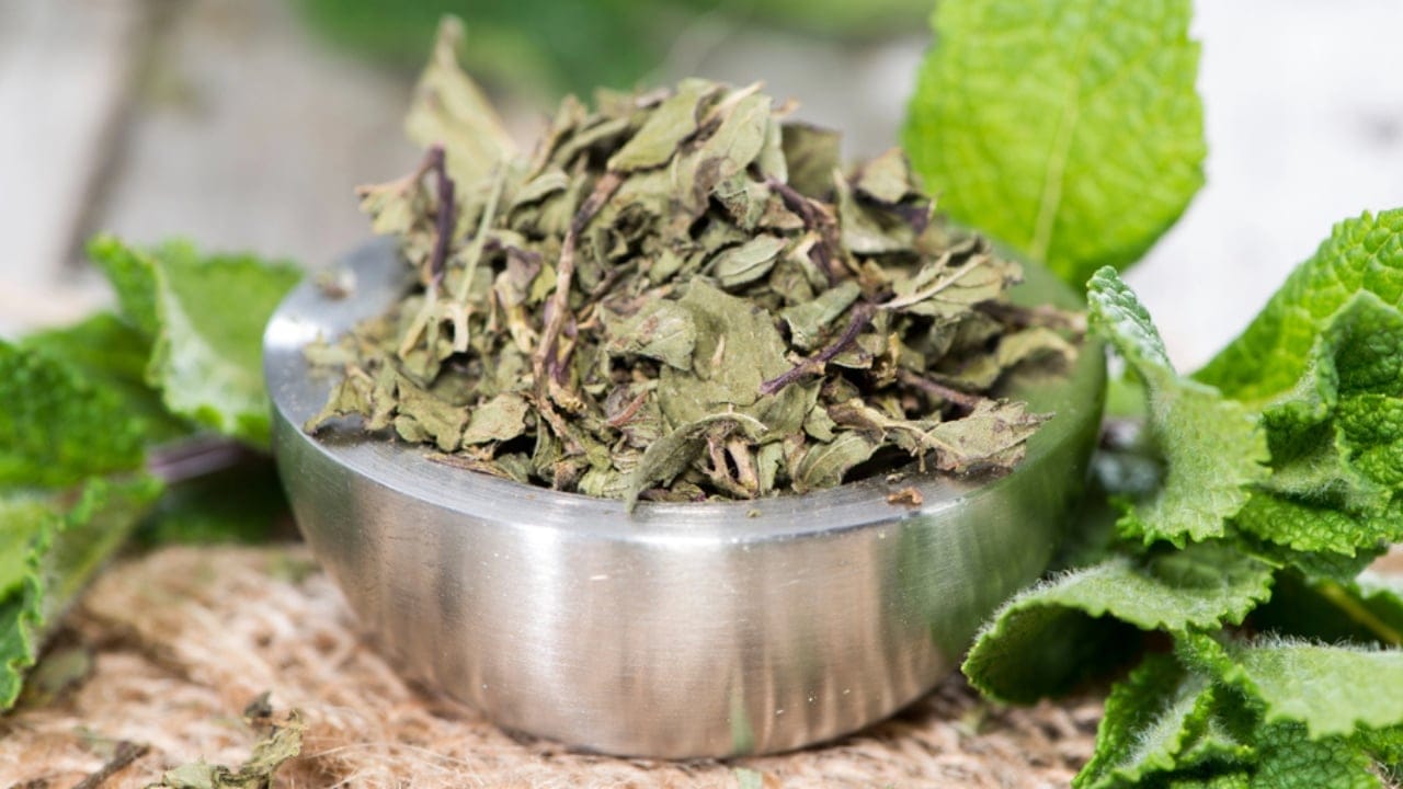 11 Herbs to Dry Now for Freshness That Lasts All Year - Bowl with dried Mint dp42845197 dnoh