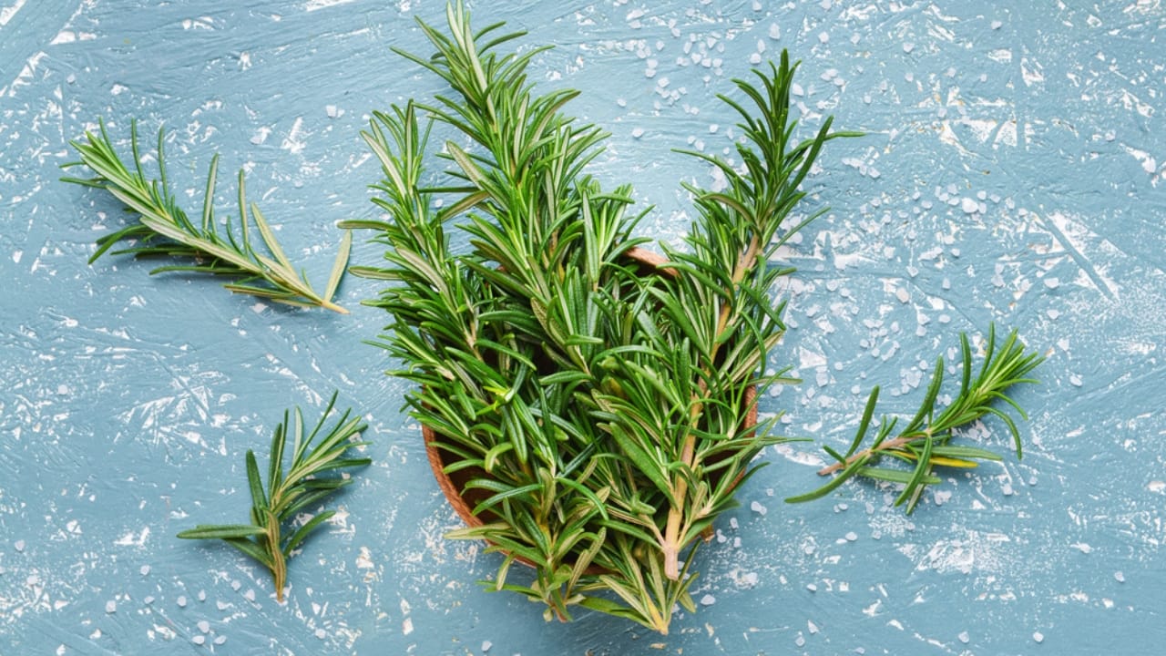 5 Reasons a Sprig of Rosemary Belongs in Your Wallet 4 5 Reasons a Sprig of Rosemary Belongs in Your Wallet - Bowl with fresh rosemary dp477254954 dnoh
