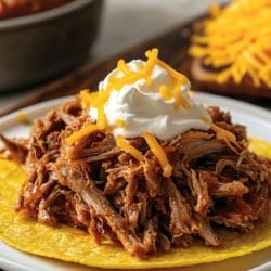 Easy Carnitas Recipe: Perfect for Carnivore Meal Prep - Carnitas