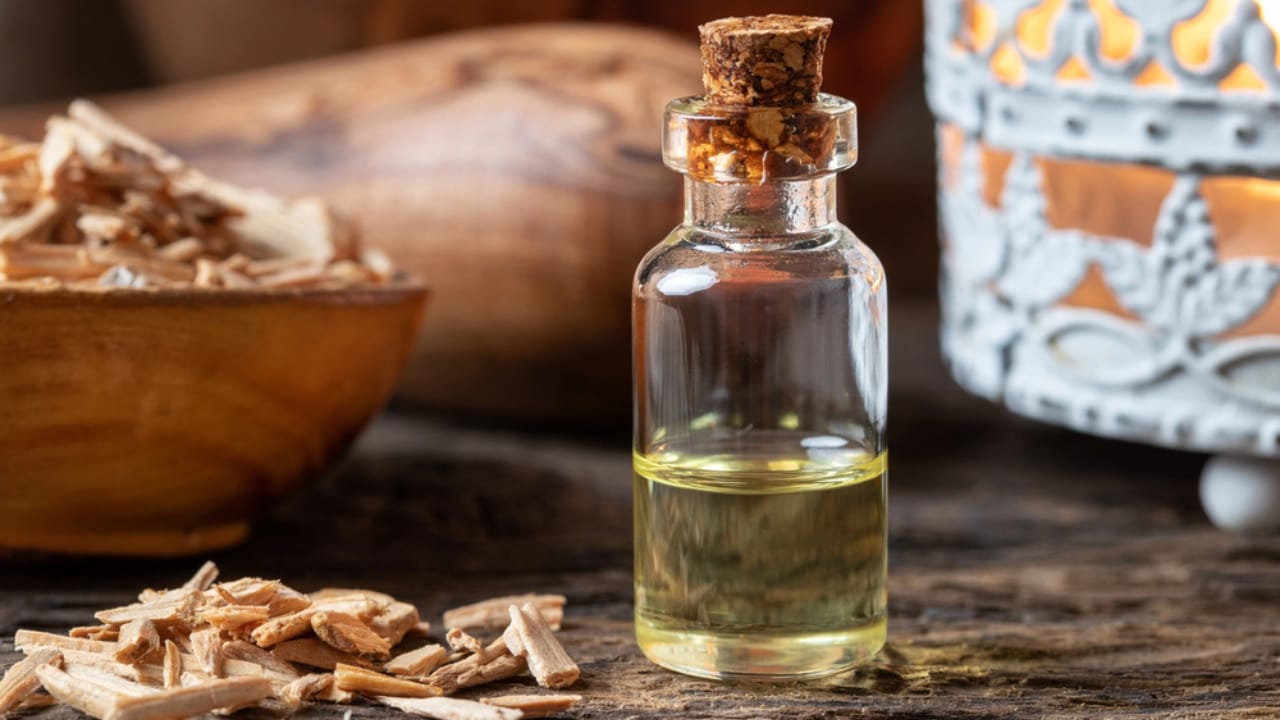 Say Goodbye to Fleas with These 15 Powerful Natural Repellents 4 Say Goodbye to Fleas with These 15 Powerful Natural Repellents - Cedarwood Oil dp230029466 dnoh