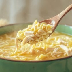 Carnivore Chicken Noodle Soup Recipe: A Protein-Packed Comfort Food 4 Carnivore Chicken Noodle Soup Recipe: A Protein-Packed Comfort Food - Chicken Noodle Soup