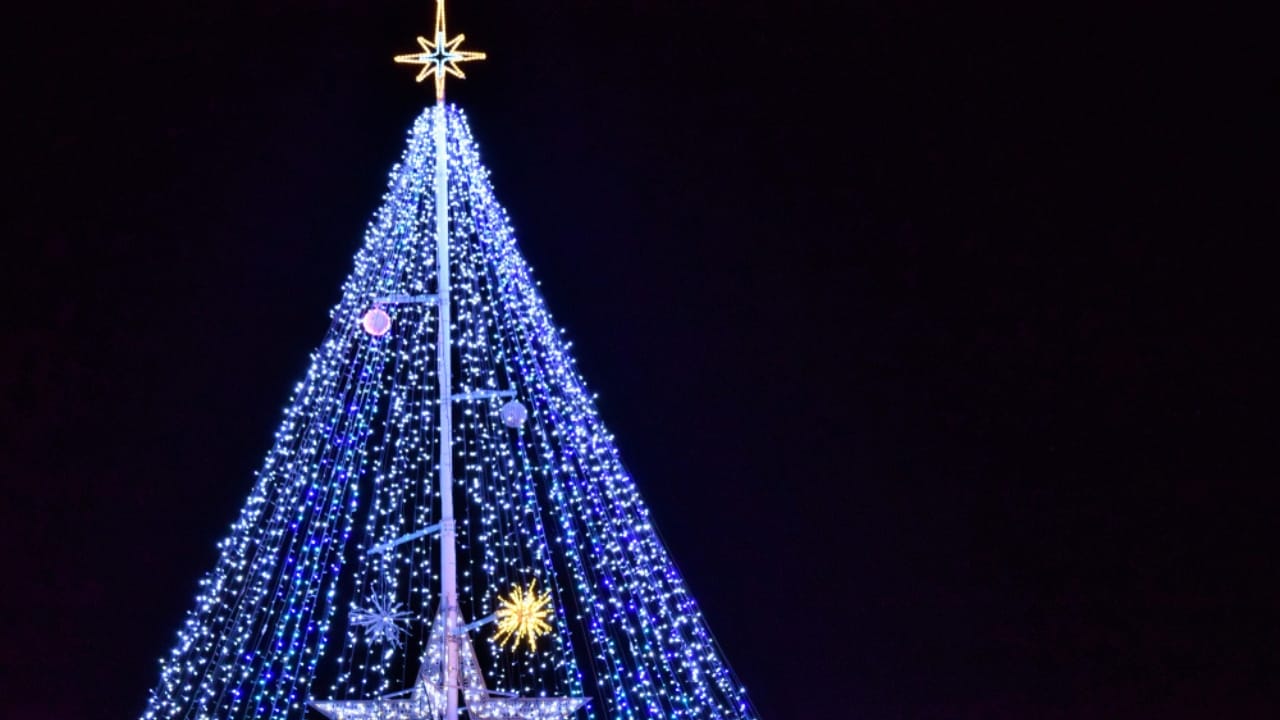 Hanging Lights Made Simple: Try This Vertical Tree Hack 2 Hanging Lights Made Simple: Try This Vertical Tree Hack - Christmas tree background ss1216257751 dpdgm