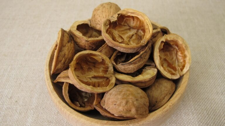 Don’t Toss Walnut Shells: Use Them to Supercharge Your Garden 8 Don’t Toss Walnut Shells: Use Them to Supercharge Your Garden - Craft material made from halved walnut shells dp764846216 dnoh