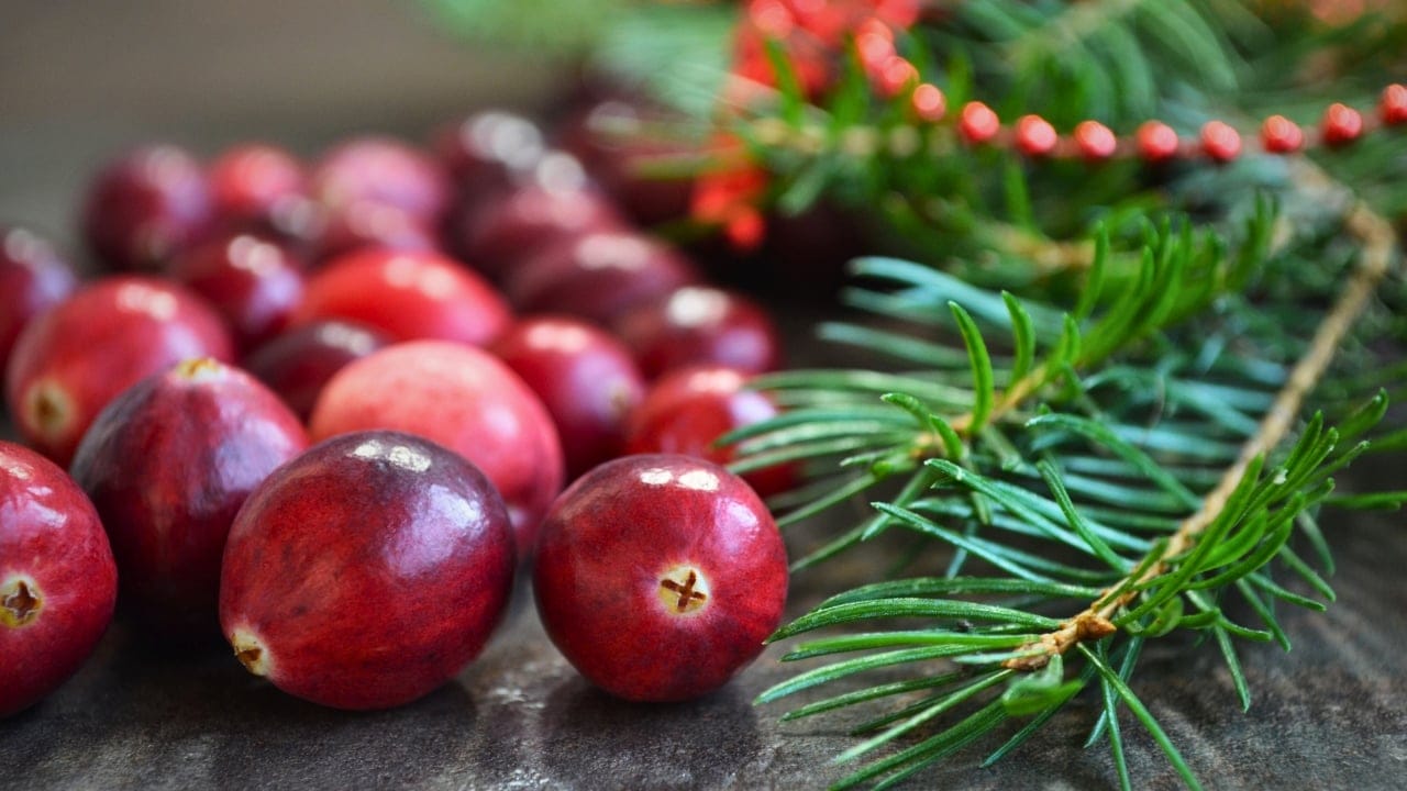 Handmade Cranberry Garlands: A Timeless Decoration for the Holiday Season 3 Handmade Cranberry Garlands: A Timeless Decoration for the Holiday Season - Cranberry and pine tree ss512877217 degm