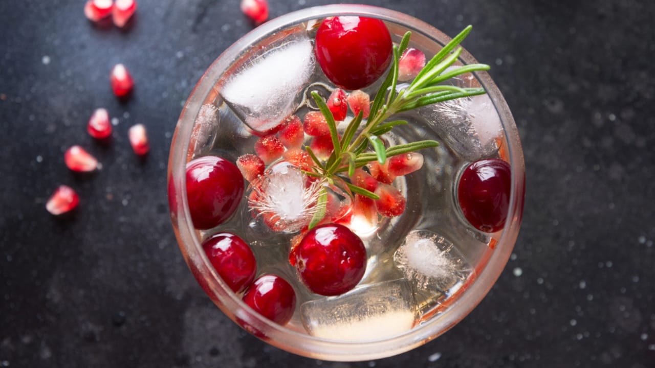 12 Must-Try Mocktails That Don't Need Alcohol to Impress 11 12 Must-Try Mocktails That Don't Need Alcohol to Impress - Cranberry Rosemary Spritzer dp391452068 dnoh