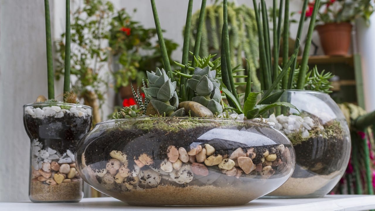 25 Creative DIY Gifts for a Memorable Holiday Season - DIY Terrariums dp206023358 dnoh