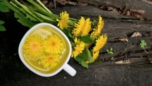 Nature’s Toolkit: 15 Herbs with Potential Lifesaving Benefits 1 Nature’s Toolkit: 15 Herbs with Potential Lifesaving Benefits - Dandelion flower tea infusion ss1440740927 degm
