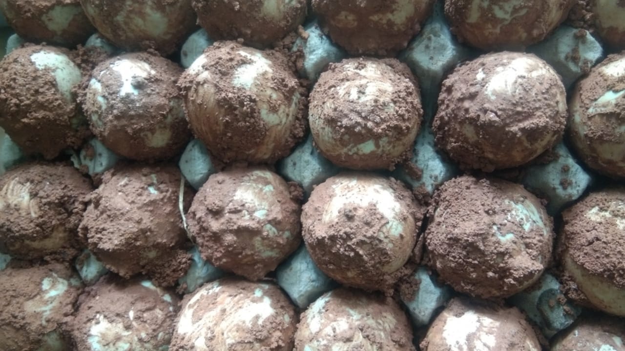 22 Egg Storage Hacks That Actually Work 21 22 Egg Storage Hacks That Actually Work - Duck eggs after fermentation with clay ss2544198071 dpdgm