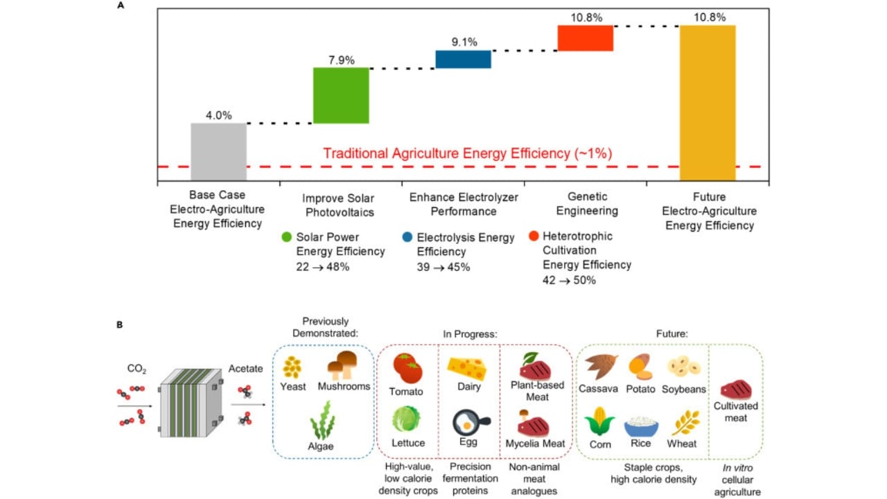No Sun, No Problem: The Farming Tech That Redefines Agriculture 4 No Sun, No Problem: The Farming Tech That Redefines Agriculture - Electro Agriculture 3