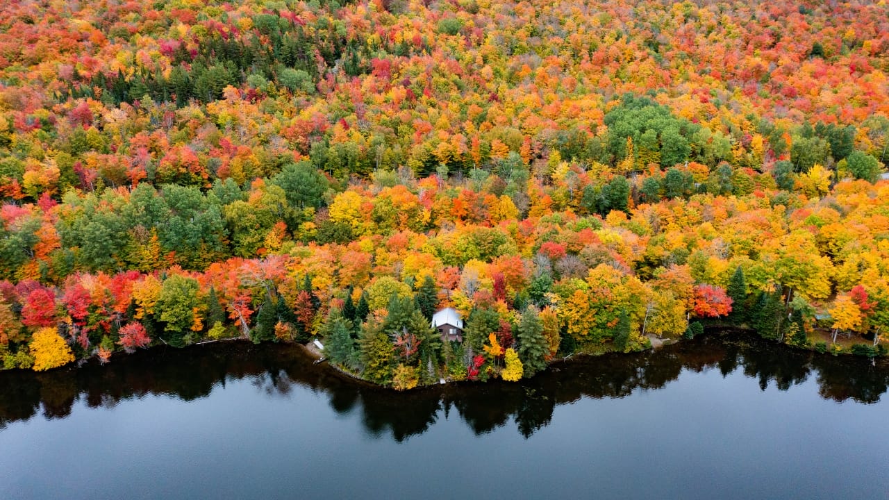 Where to Go When It All Falls Apart: 10 U.S. Safe Zones 8 Where to Go When It All Falls Apart: 10 U.S. Safe Zones - Fall Foliage Along Norton Pond Northeast Kingdom Vermont wc
