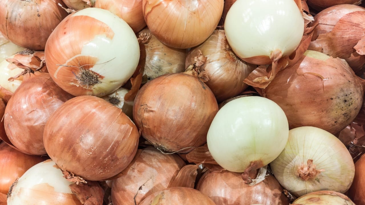 Beat Spoilage: How to Keep Onions Fresh for Months - Freshly dug onions in peel dp689812406 dnoh