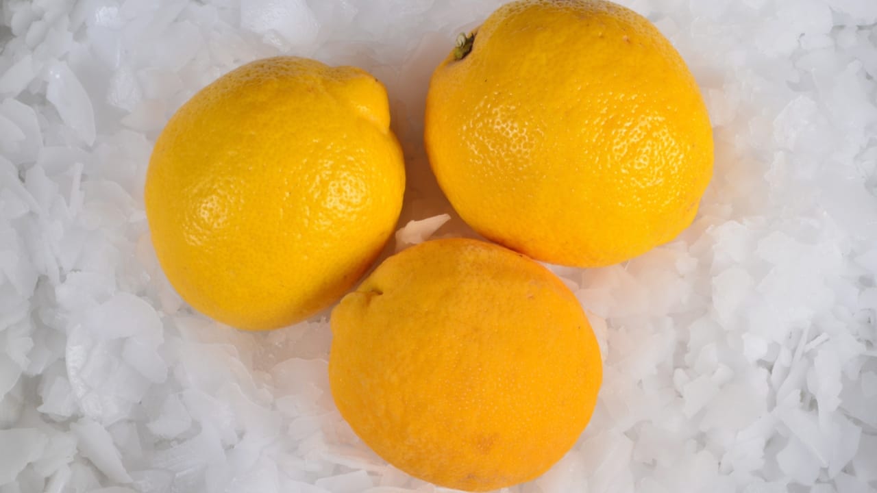 Unlock the Full Potential of Lemons by Freezing Them Whole 10 Unlock the Full Potential of Lemons by Freezing Them Whole - Frozen lemon on ice ss1659577522 dpdgm