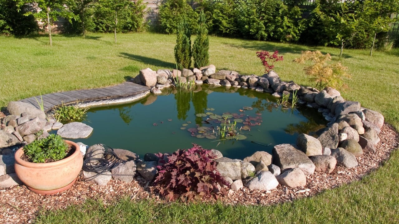 Koi Pond Design: 8 Steps to Get It Right the First Time - Garden Fish Pond dp8984504 dnoh