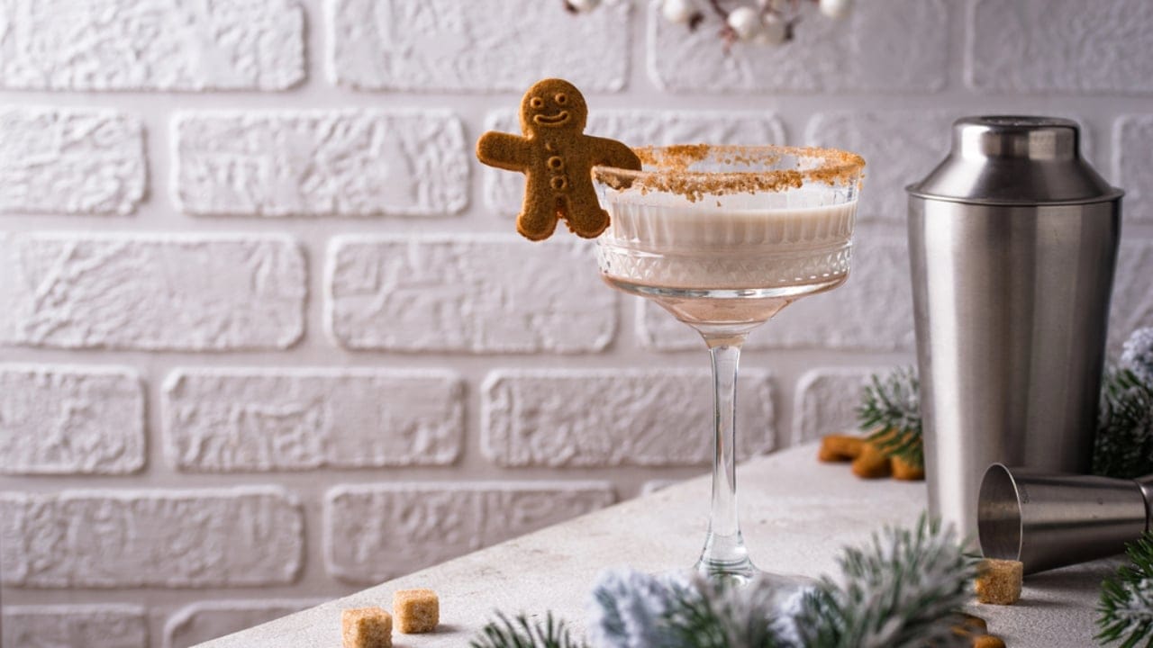 Holiday Fun Without Booze: 12 Easy Mocktail Recipes to Try 2 Holiday Fun Without Booze: 12 Easy Mocktail Recipes to Try - Gingerbread Mocktail dp767478814 dnoh
