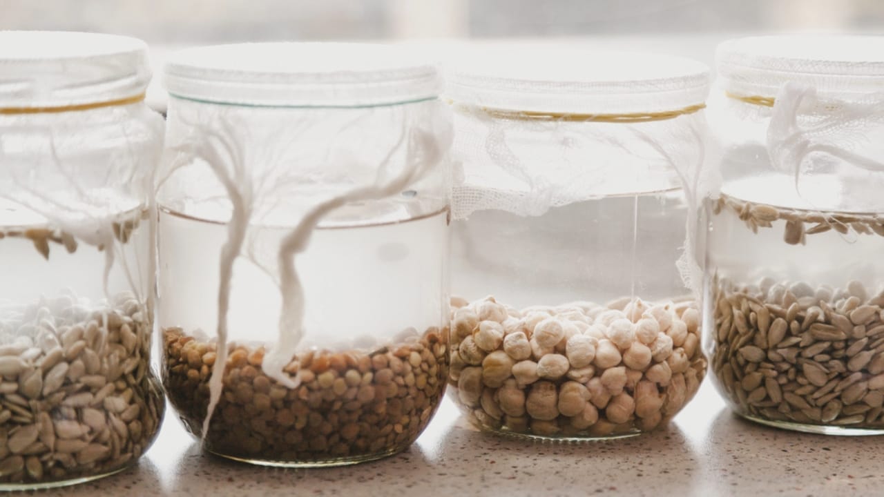 20 Everyday Hydrogen Peroxide Uses Everyone Should Know 20 20 Everyday Hydrogen Peroxide Uses Everyone Should Know - Glass jars with different grains dp189168376 dnoh