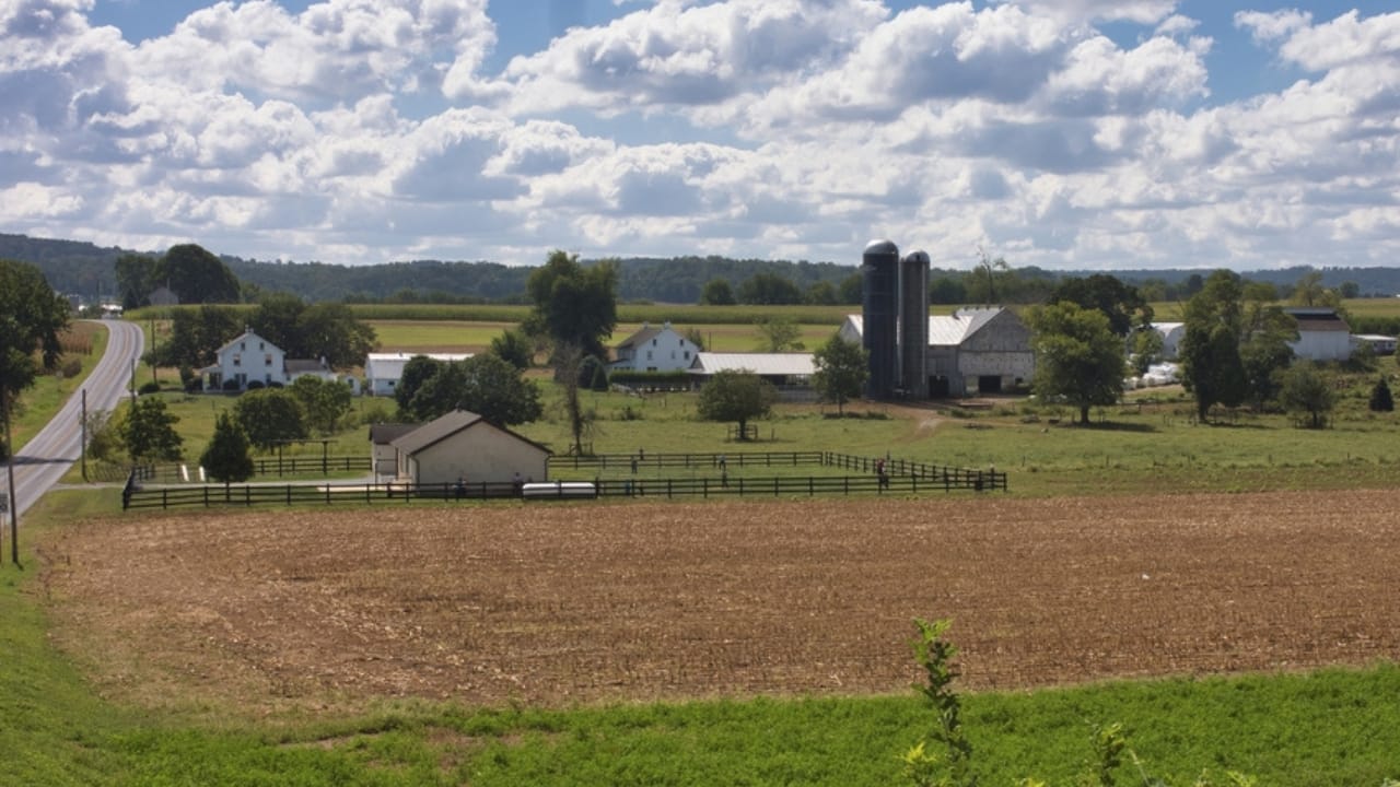 13 Amish Money-Saving Habits to Cut Your Household Costs 12 13 Amish Money-Saving Habits to Cut Your Household Costs - Grassy field with Amish buildings dp334999980 dnoh