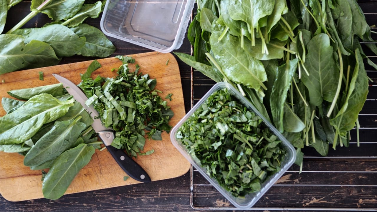 20 cut and come again vegetables that feel like free food forever 5 20 cut and come again vegetables that feel like free food forever - Harvesting sorrel for the winter dp434962946 dnoh