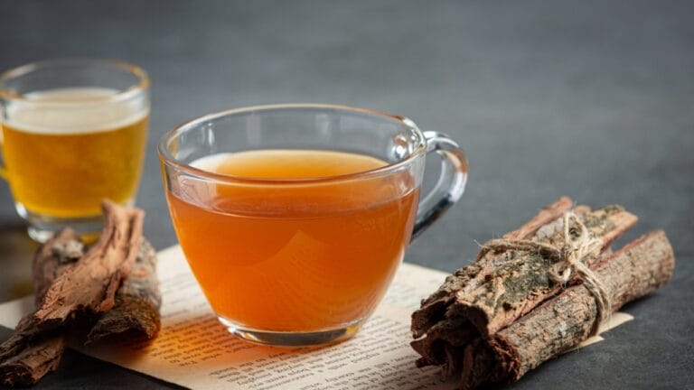 7 Medicinal Tree Barks to Keep You Healthy This Winter - Hot tea and bark on table dp420196304 dnoh