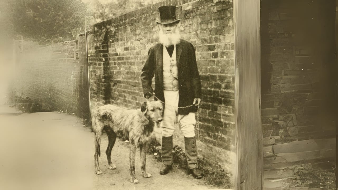 Can Dogs See Ghosts? The Truth Behind Their Eerie Instincts 7 Can Dogs See Ghosts? The Truth Behind Their Eerie Instincts -