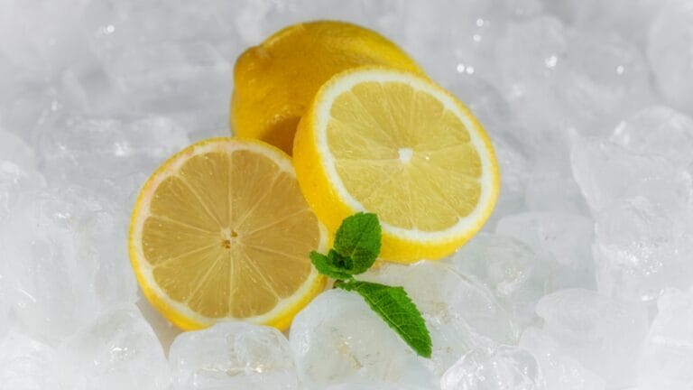 Unlock the Full Potential of Lemons by Freezing Them Whole 9 Unlock the Full Potential of Lemons by Freezing Them Whole - Juicy lemon in ice cubes ss1602829621 dpdgm