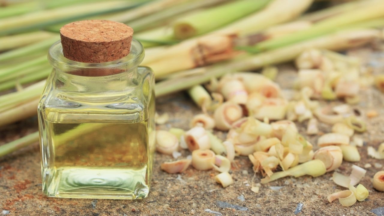 Say Goodbye to Fleas with These 15 Powerful Natural Repellents 5 Say Goodbye to Fleas with These 15 Powerful Natural Repellents - Lemongrass Oil dp112422128 dnoh