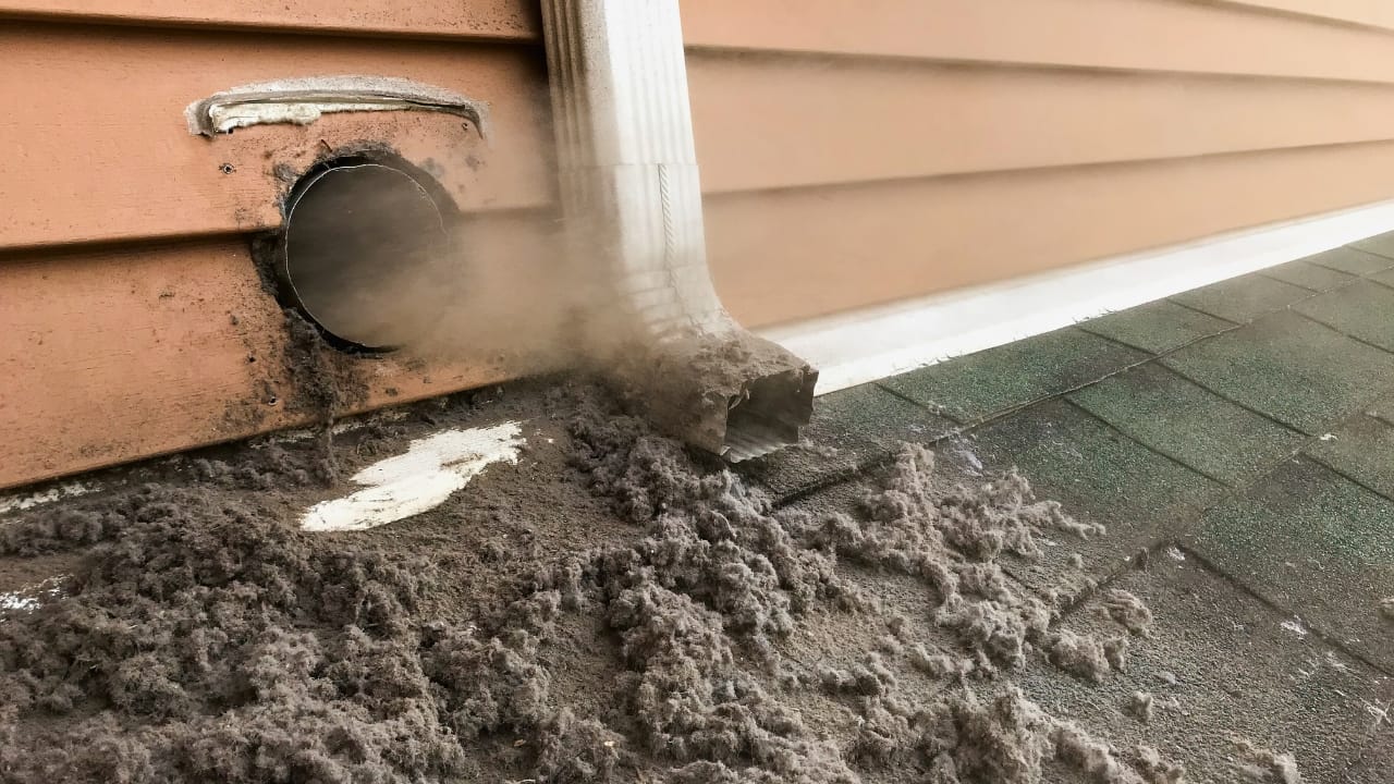 12 Leaf Blower Hacks That Will Change How You Use It Year-Round - Lint collected from dryer machine ss2248188299 degm