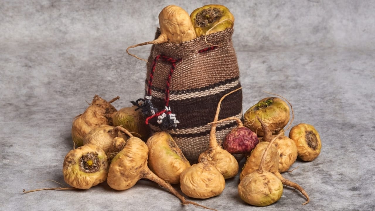 Say Goodbye to Brain Fog with These 13 Herbs 13 Say Goodbye to Brain Fog with These 13 Herbs - Maca Root ss2210539611 dpdgm