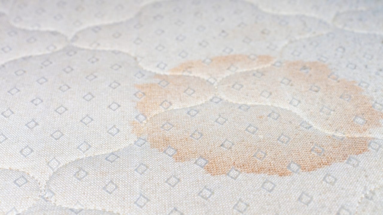 15 Household Problems Solved with a Can of Shaving Cream 15 15 Household Problems Solved with a Can of Shaving Cream - Mattress Stain ss2070518399 dpdgm