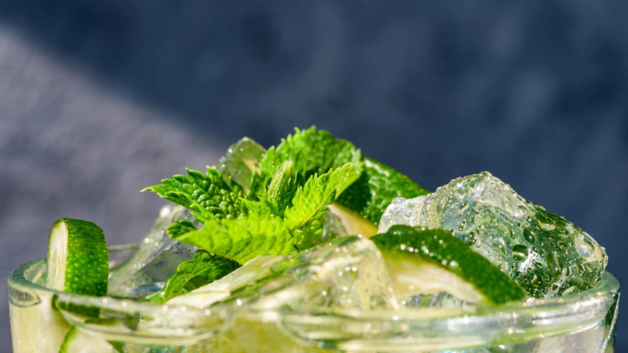 Zero-Waste Cooking: 16 Ways to Repurpose Food Scraps 9 Zero-Waste Cooking: 16 Ways to Repurpose Food Scraps - Mojito Lime Drink Cocktail dp120722414 dnoh 1