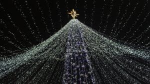 Hanging Lights Made Simple: Try This Vertical Tree Hack 1 Hanging Lights Made Simple: Try This Vertical Tree Hack - New Years festive tree decorated ss1887676843 dpdgm