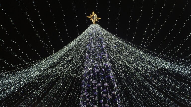 Hanging Lights Made Simple: Try This Vertical Tree Hack 9 Hanging Lights Made Simple: Try This Vertical Tree Hack - New Years festive tree decorated ss1887676843 dpdgm