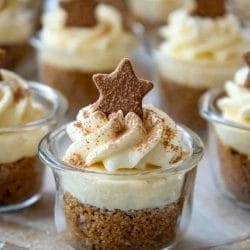 Easy No-Bake Mini Eggnog Cheesecake Cups for Festive Fun 4 Easy No-Bake Mini Eggnog Cheesecake Cups for Festive Fun - No Bake Mini Eggnog Cheesecake Cups 1